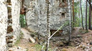ФРАНЦУЗСКИЙ ЗАМОК в РУССКОМ ЛЕСУ !!!