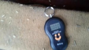 Вес крольчат в 20 дней ♡ часть 1 ♡