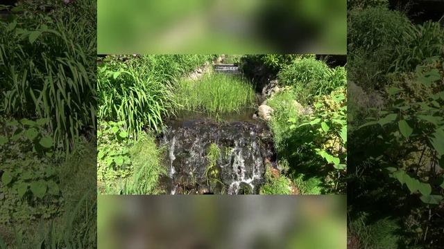 Звуки безмятежной природы,ручей, птицы смотреть онлайн