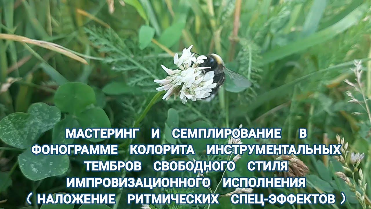 Предмет :совр.звукорежиссура | 1 курс | Музыкальное звукооператорское мастерство