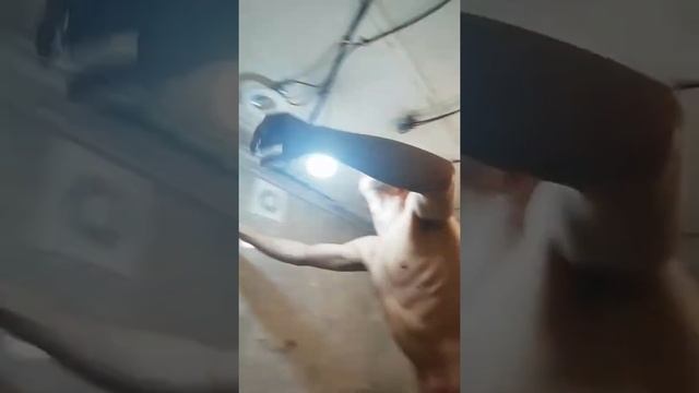 Натяжной потолок брянск ванная смотреть онлайн