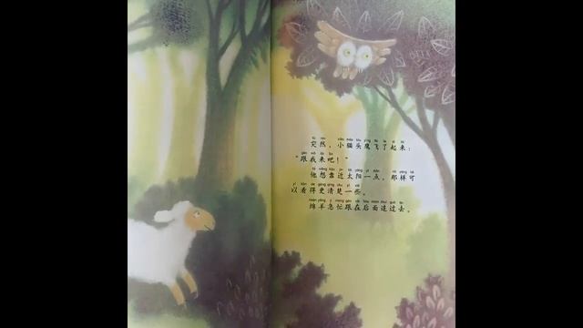 ОБЗОР КНИГИ ТРУСЛИВЫЙ СОВЕНОК книга о преодолении страхов на китайском языке с пиньинь