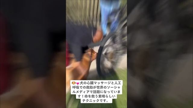 ??犬の心臓マッサージと人工呼吸での救助が世界のソーシャルメディアで話題になっています！命を救う素晴らしいテクニックです。 #犬の救助 #心臓マッサージ #人工呼吸 #感動的