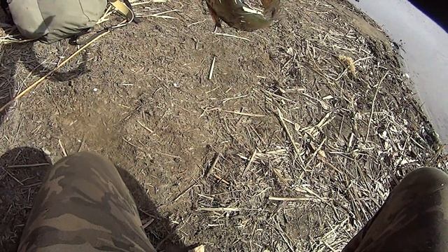 БЕШЕНЫЙ ЖОР ЩУКИ!!! Открытие весеннего сезона 2020! Отличная рыбалка! Волго-Ахтубинская пойма. смотреть онлайн