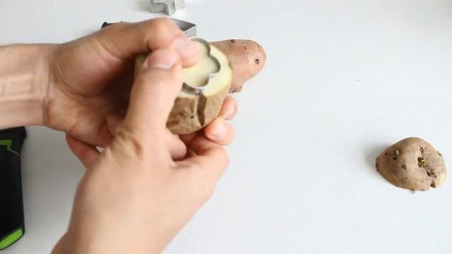 Рисование для детей ♥Штампы из картошки♥ Нетрадиционное рисование для детей