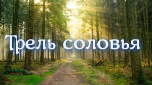 Соловьиная трель успокаивает сердце и нервы. Восстановить силы и здоровье