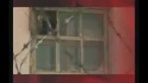 Вася брилиант