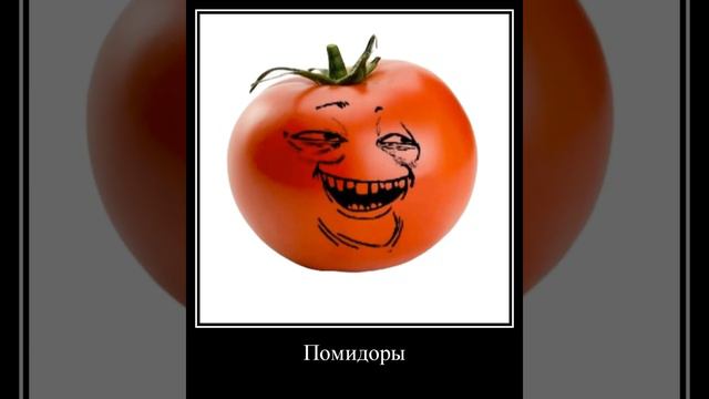 Помидоры помидоры помидоры помидоры
