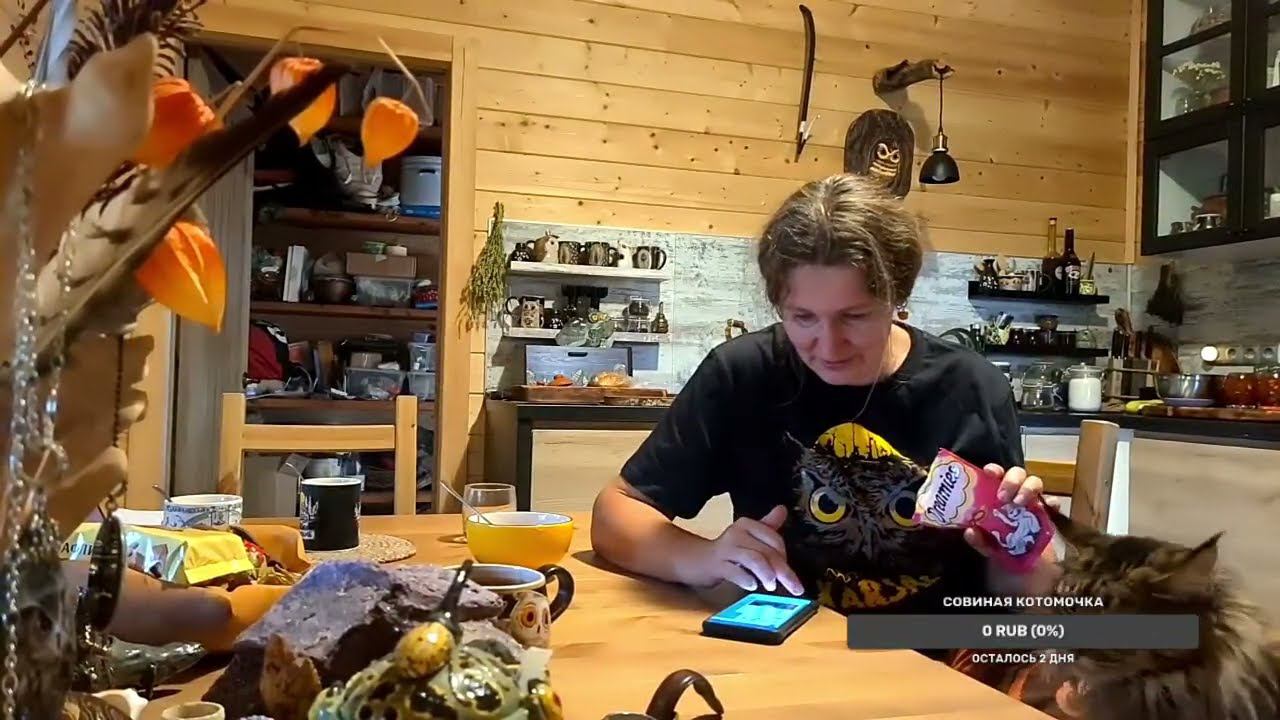 Yoll's добрый Stream. Вечерний