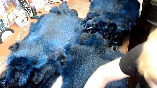 Подготовка правка шкур натурального меха в меховом ателье