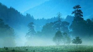Музыка энергии жизни / Медитации на успех во всех сферах/ relax music