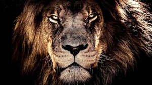 Нашид - Тоска *Самый красивый нашид* #Самыйкрасивыйнашид #нашидтоска #смерт #жизнь #ислам