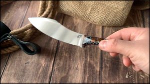 Нессмук от Златонож