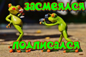 лучшие приколы #8 / приколы тик ток 2022 / нарезка приколов 2022