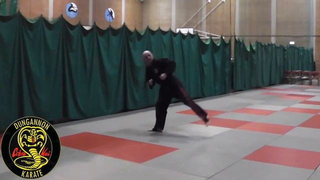 Niseishi kata (Black Belt 4th Dan) смотреть онлайн