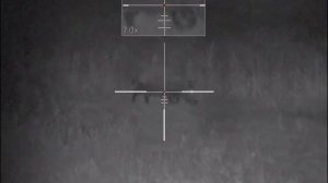 Цифровой прицел Pulsar Digisight Ultra N355 (часть 2)