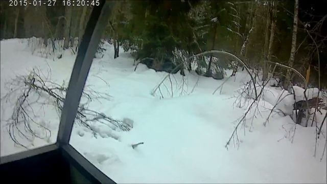 первая покатушка на озеро на ,,Лешем,, смотреть онлайн