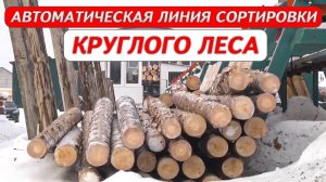 Автоматическая линия сортировки круглого леса Cronver LSB-16