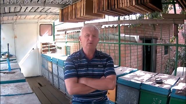 Затраты на перевозку,зимовку пчёл в горах Краснодарского края.Организация перевозки,зимовки пасеки.