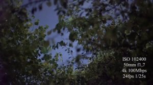 Видеосъемка ночью, или на что способны современные камеры. Sony a7s II тест при низкой освещенности