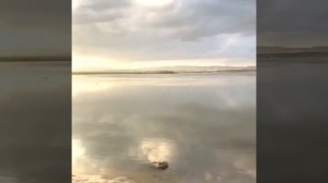 Larnaca Salt Lake - Hala Sultan Tekke