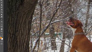 ?Photoshop Урок. Как вырезать объект в фотошопе. Как сделать прозрачный фон. сс 2015