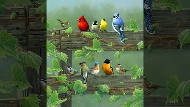 Mornings birds. Ранкові птахи. Утренние птицы. Музыка для релакса. Фоновая мелодия. смотреть онлайн