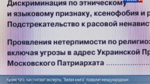 Доклад МИД РФ 05.05.14 - Белая книга рассказала о разгуле неонацизма на Украине