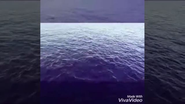 Время проведенное с Любимым Мужем❣️ любовь от Бога?спасибо Богу за Лучшего МУЖА? смотреть онлайн