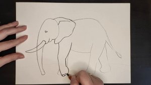 Рисуем слона