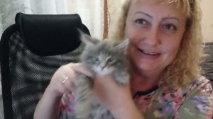 Кота повезли на прививку, детей загрузили работой