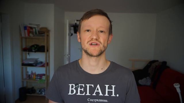 В России был принят Закон о Защите Животных (подробности) смотреть онлайн