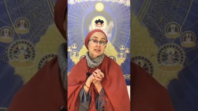 "16 узлов неведения". Санньяси Адимата