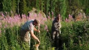 Семин Валерий  - Ты поспи жена, в утро раннее  .... кавер-версия  пользователя