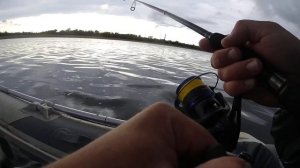 ОСЕННИЙ СУДАК НА ДЖИГ. РЕКА ВЯТКА. ХОРОШАЯ ПОКЛЕВКА. РЫБАЛКА В КИРОВЕ.