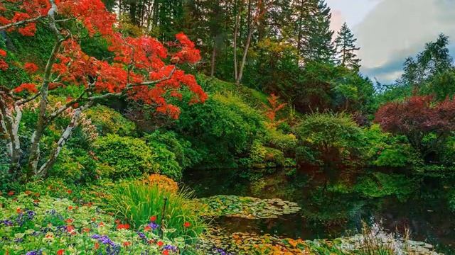 Мелодия Рая смотреть онлайн