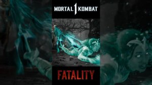Mortal Kombat 1: Ермак Fatality №2