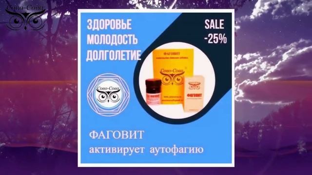 ПРИГЛАШАЮ в НОВЫЙ РОССИЙСКИЙ МЛМ ПРОЕКТ СОВО СОВА ПЕТРА СОЛДАТЕНКОВА