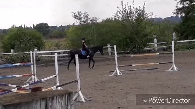 Vlog:Моё занятие верховой ездой?! смотреть онлайн