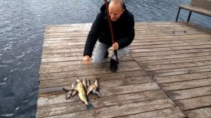 Рыбалка  Дача  Луга  Крупели