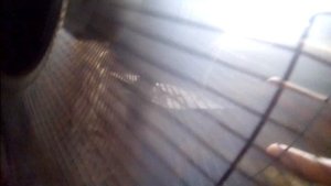 Что будет если засунуть палец в вентилятор