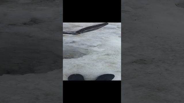 описание украли