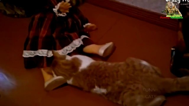 Смешные коты и кошки 2017. Приколы с котами и кошками.