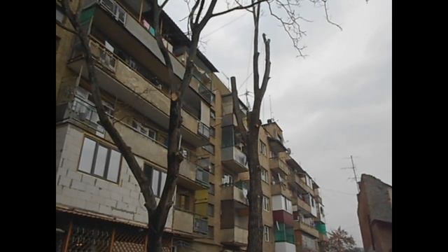 Кінець життя старої тополі смотреть онлайн