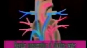 Щелочная вода. Живая вода - источник здоровья и долголетия.