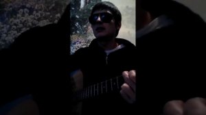 Песня под гитару .Дельфином стать.