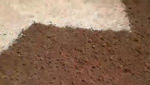 Как восстановить газон