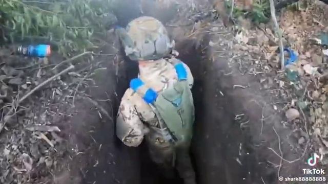 Вербовое,Пологовский район,Запорожская область