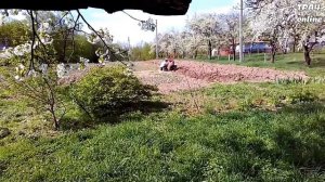 Вспашка 2018. Нет слов... Плуг ПЛ-4, ЧП "Крючков"