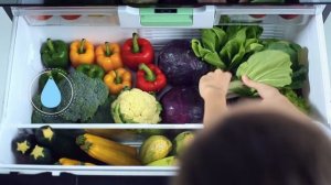 Hitachi Made in Japan Refrigerator.mp4